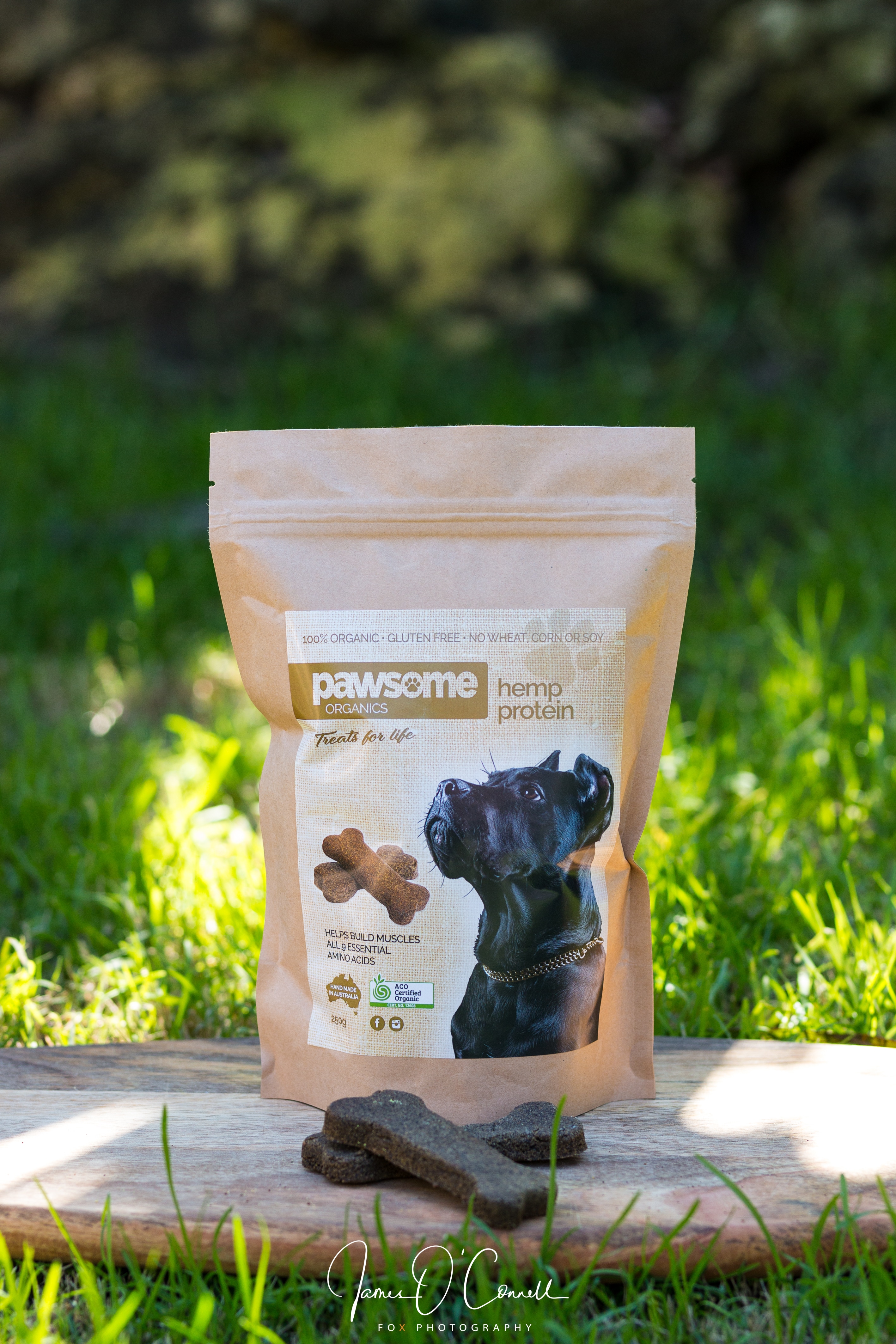 Hemp Protein