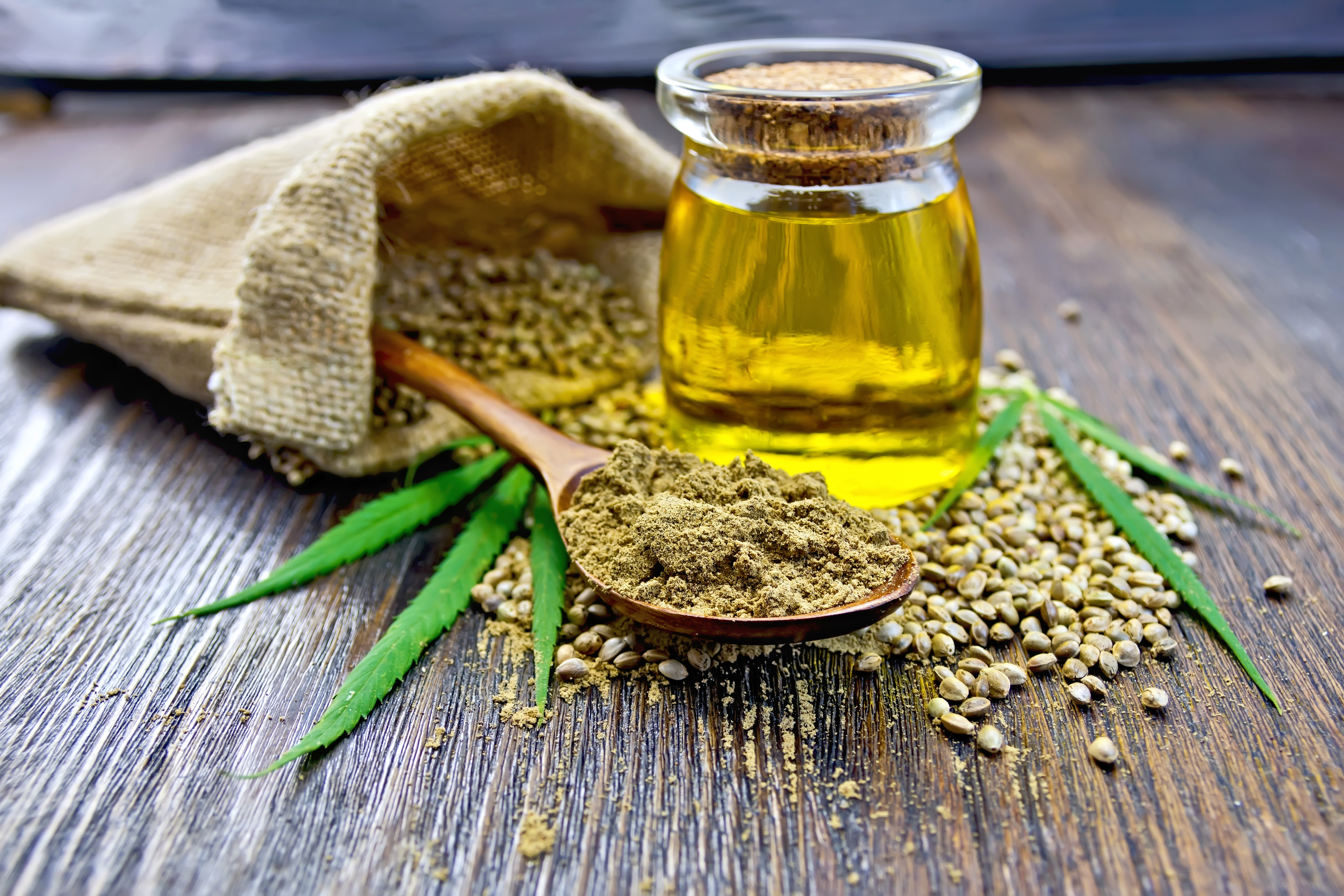 Hemp oil for dogs